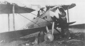 A damaged Ni.28 flown by 1st Lt. Meissner, who twice survived the loss of his top wing fabric.
