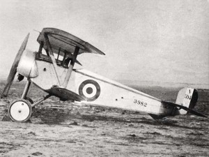 An Entente Nieuport 11, the “Bébé”.